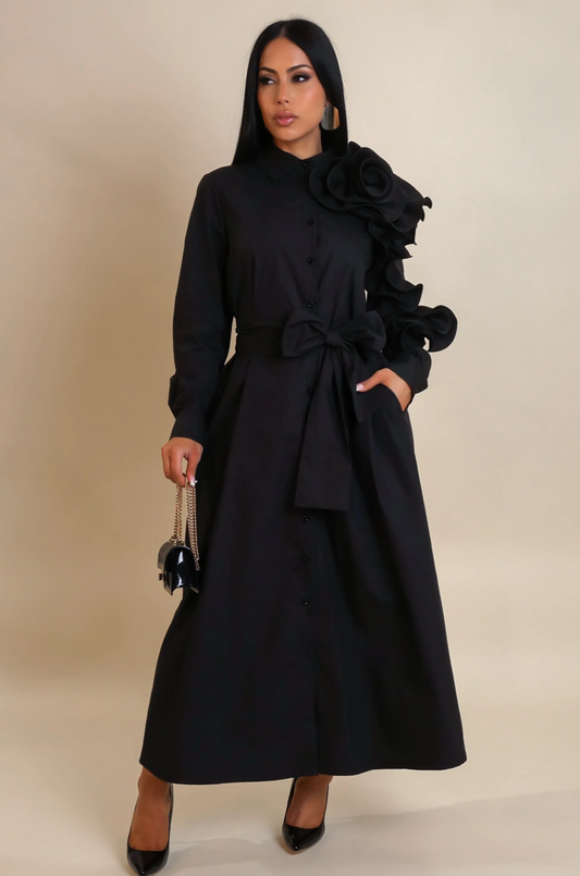 Elegant Long Sleeve Dress